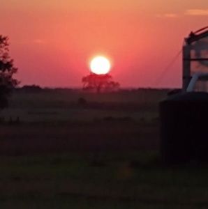 Meet your Posher, Uriel